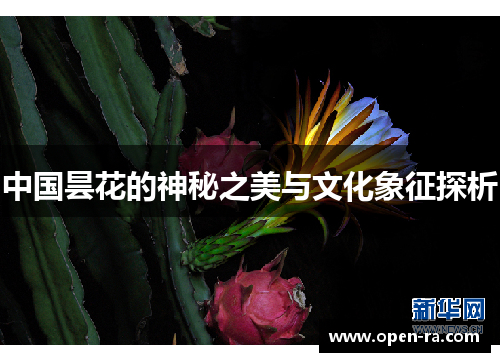 中国昙花的神秘之美与文化象征探析
